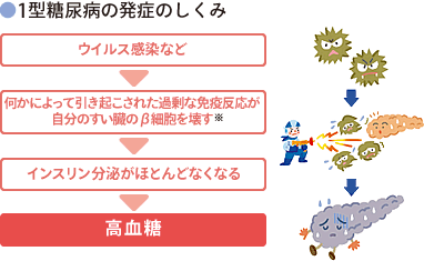 糖尿病の詳細 笠井クリニック 内科 小児科 心療内科などの総合医院 東京都福生